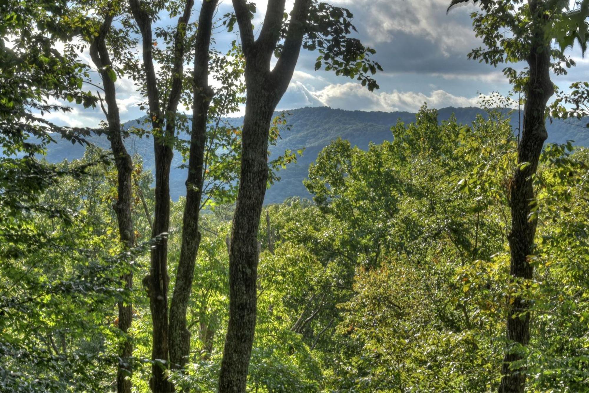 Bearfoot Ridge Wood-Burning Fireplace Cozy Hot Tub Serene Views Ellijay Zewnętrze zdjęcie