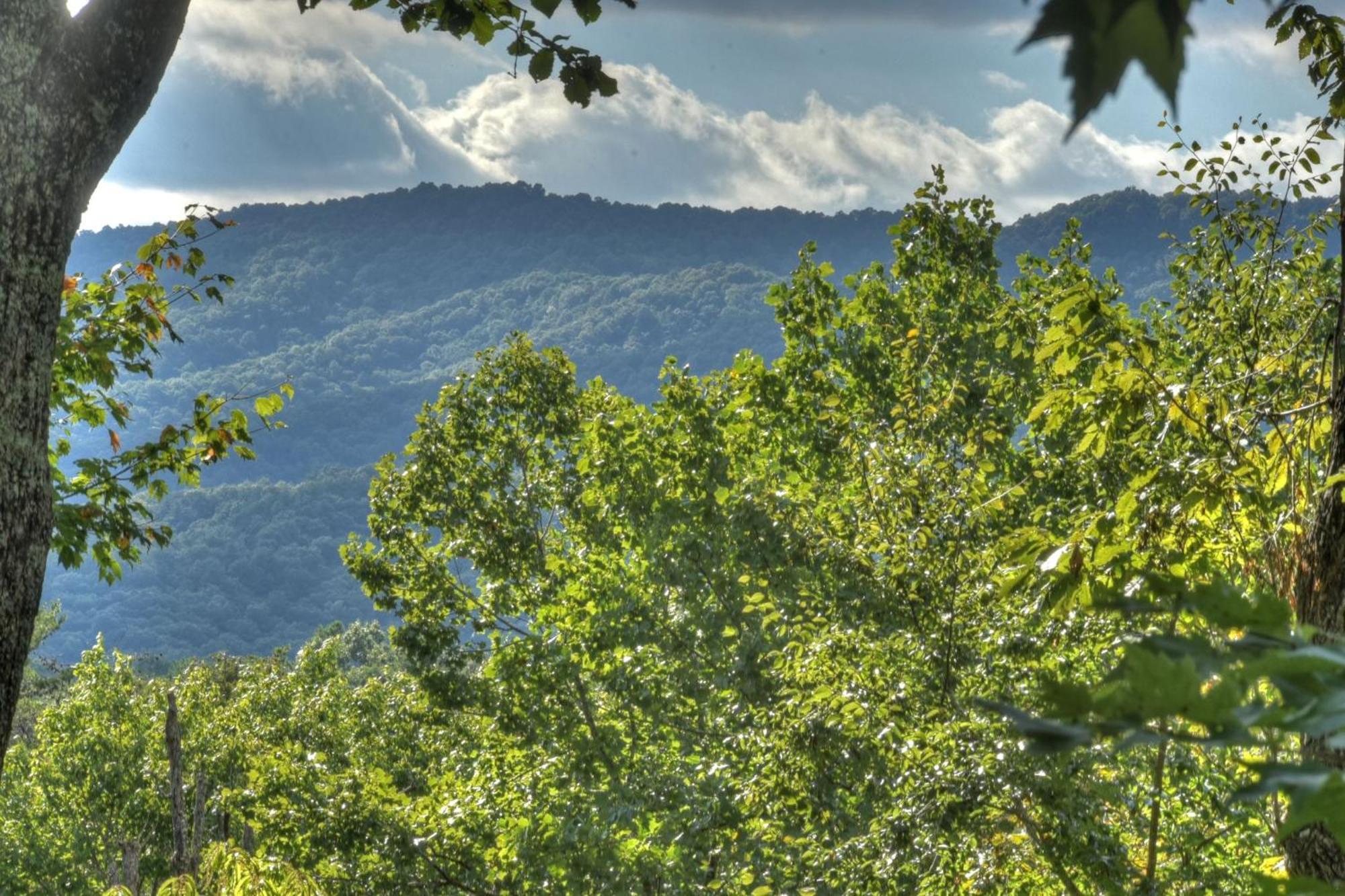 Bearfoot Ridge Wood-Burning Fireplace Cozy Hot Tub Serene Views Ellijay Zewnętrze zdjęcie